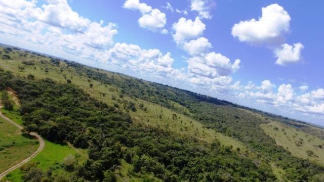 Fazenda em Ipameri (Soja e Pasto ; Beira Asfalto) - Foto 12