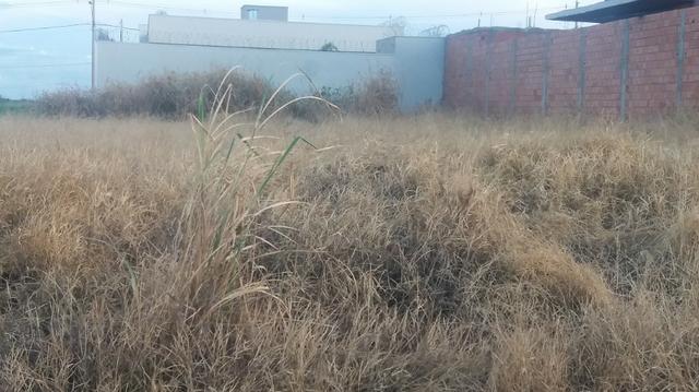 Terreno 360m2 - Foto 3