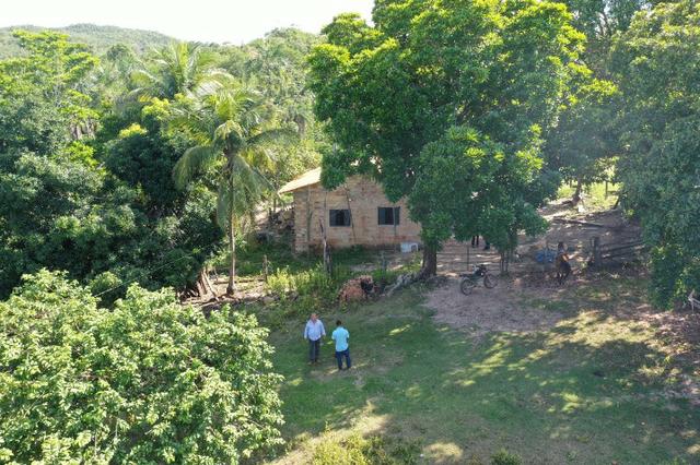 Fazenda de 25 Alqueires, Município Araguapaz-Go - Foto 3