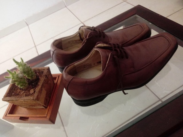 Sapato social novo - Roupas e calçados - Tropical, Contagem 1012655775 | OLX