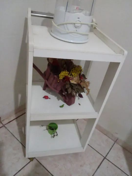 Carrinho Auxiliar