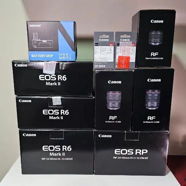 Camera Canon R6 II Grip