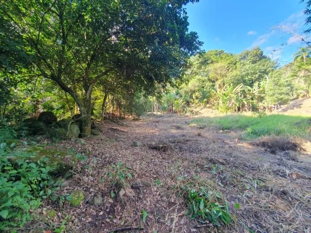 Terreno com rio privativo no Sana, Macaé-RJ! Aceito Financiamento - Foto 2