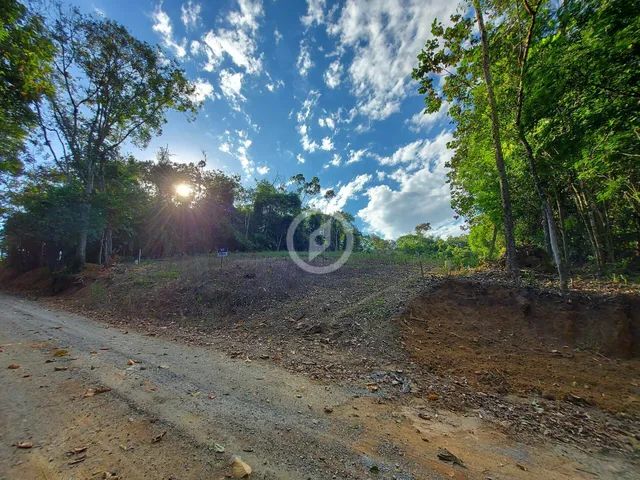 Terreno à venda no bairro Rio Branco - Guaramirim/SC - Foto 3