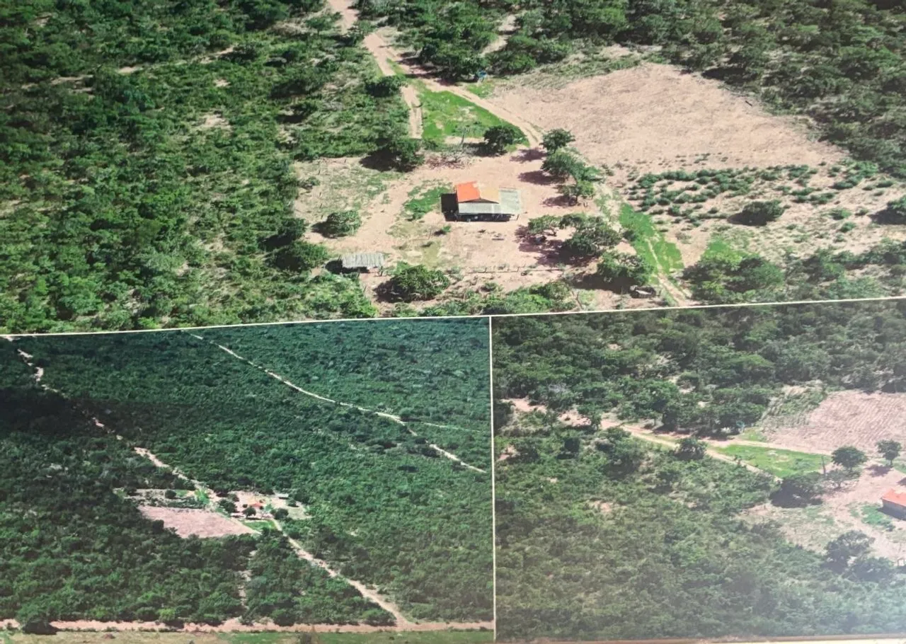 Terreno com casa 14 alqueire