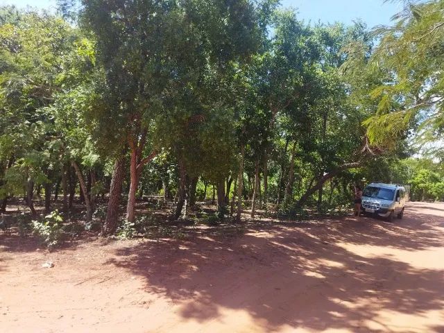 foto - Campo Grande - Jardim do Zé Pereira