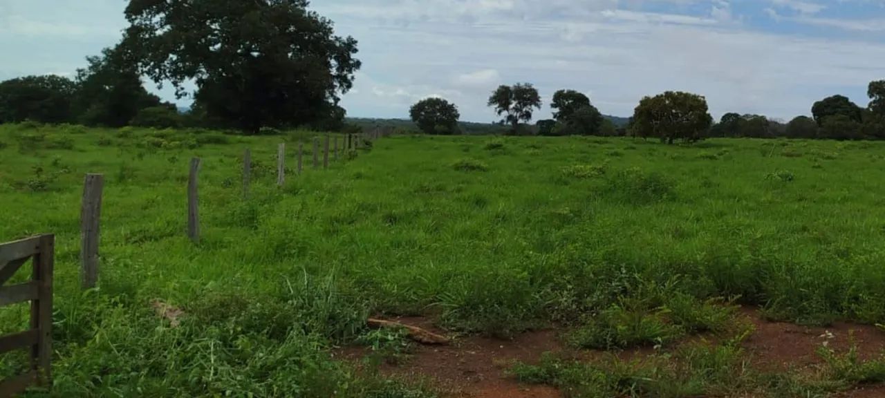 Fazenda entre Palmas to e Barrolândia to - Foto 9