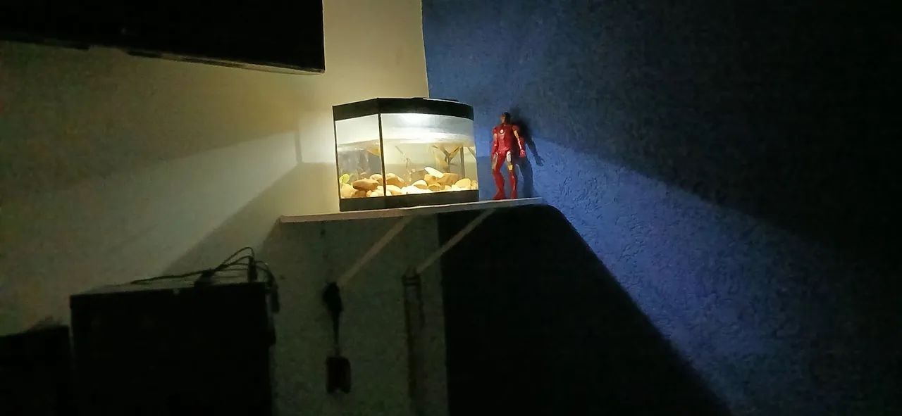 Aquário de 40 litros com plantas e pedras - Foto 4