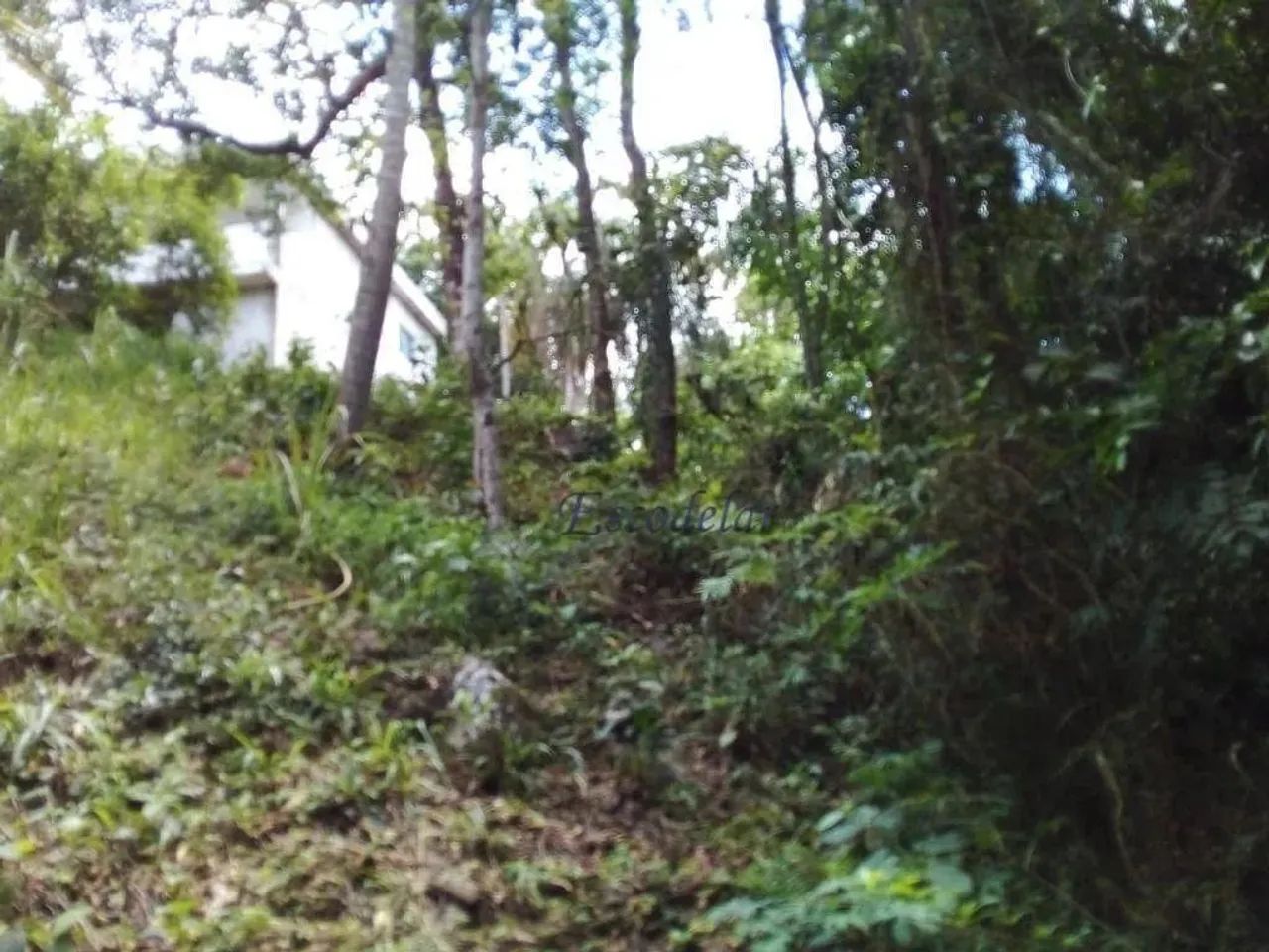 Terreno à venda, 1140 m² por R$ 120.000,00 - Parque Petrópolis - Mairiporã/SP - Foto 14