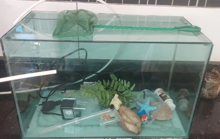 Aquário 18 litros completo.