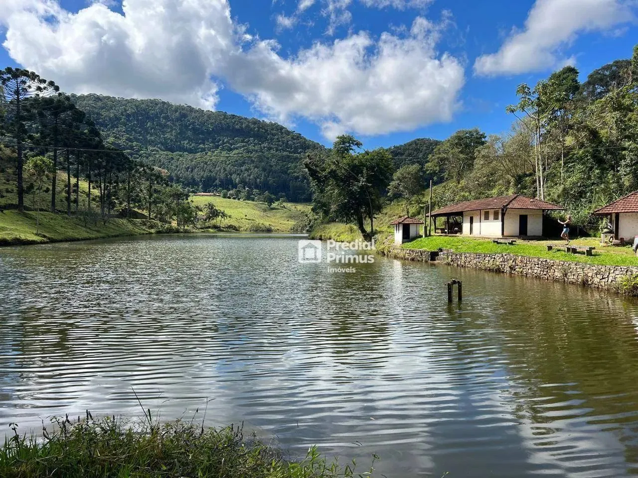 Fazenda de 290 Hectares com Infraestrutura Completa e Riquezas Natuais