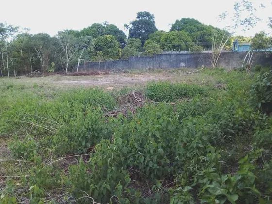 Terreno para alugar no Santa Etelvina medindo 55 por 55, todo murado com portão - Foto 2