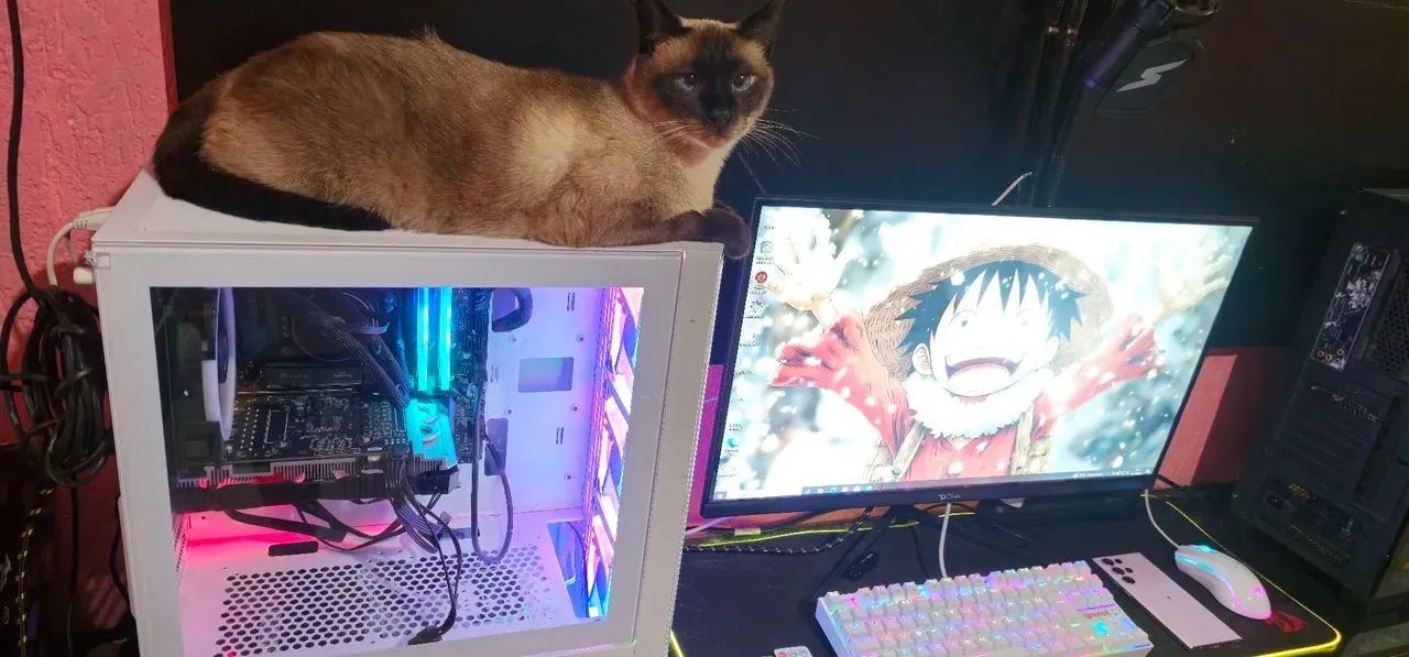 Pc gamer top novo roda tudo 
