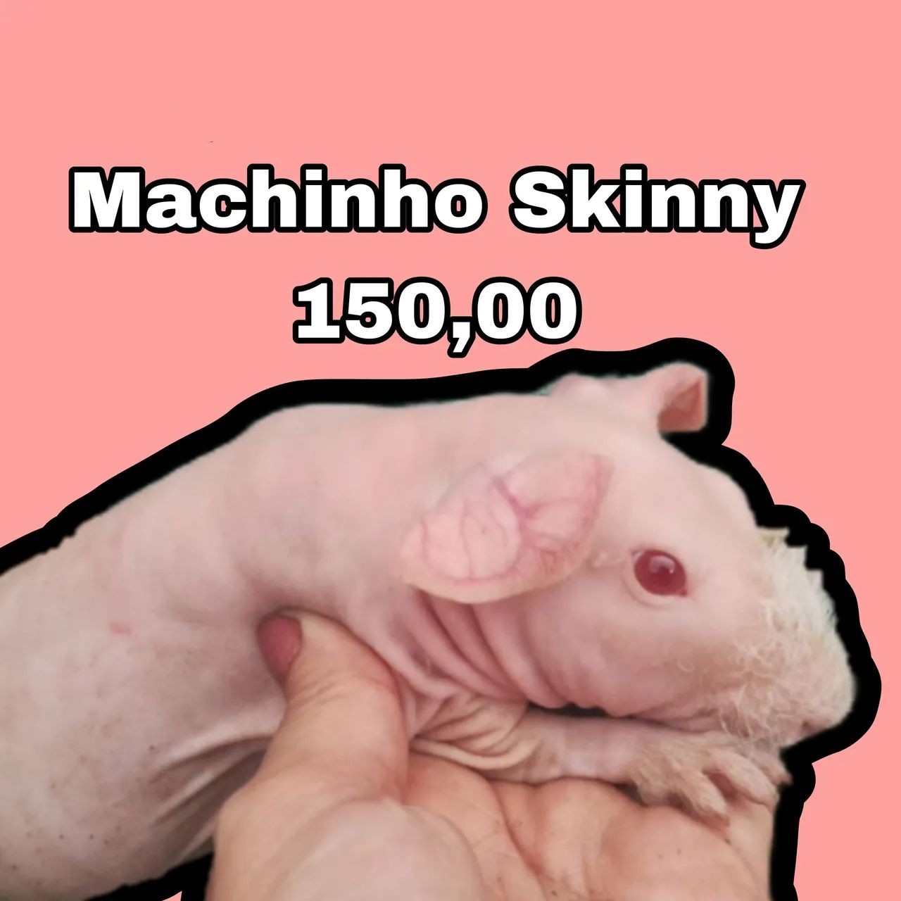 Machinho Skinny - 150,00