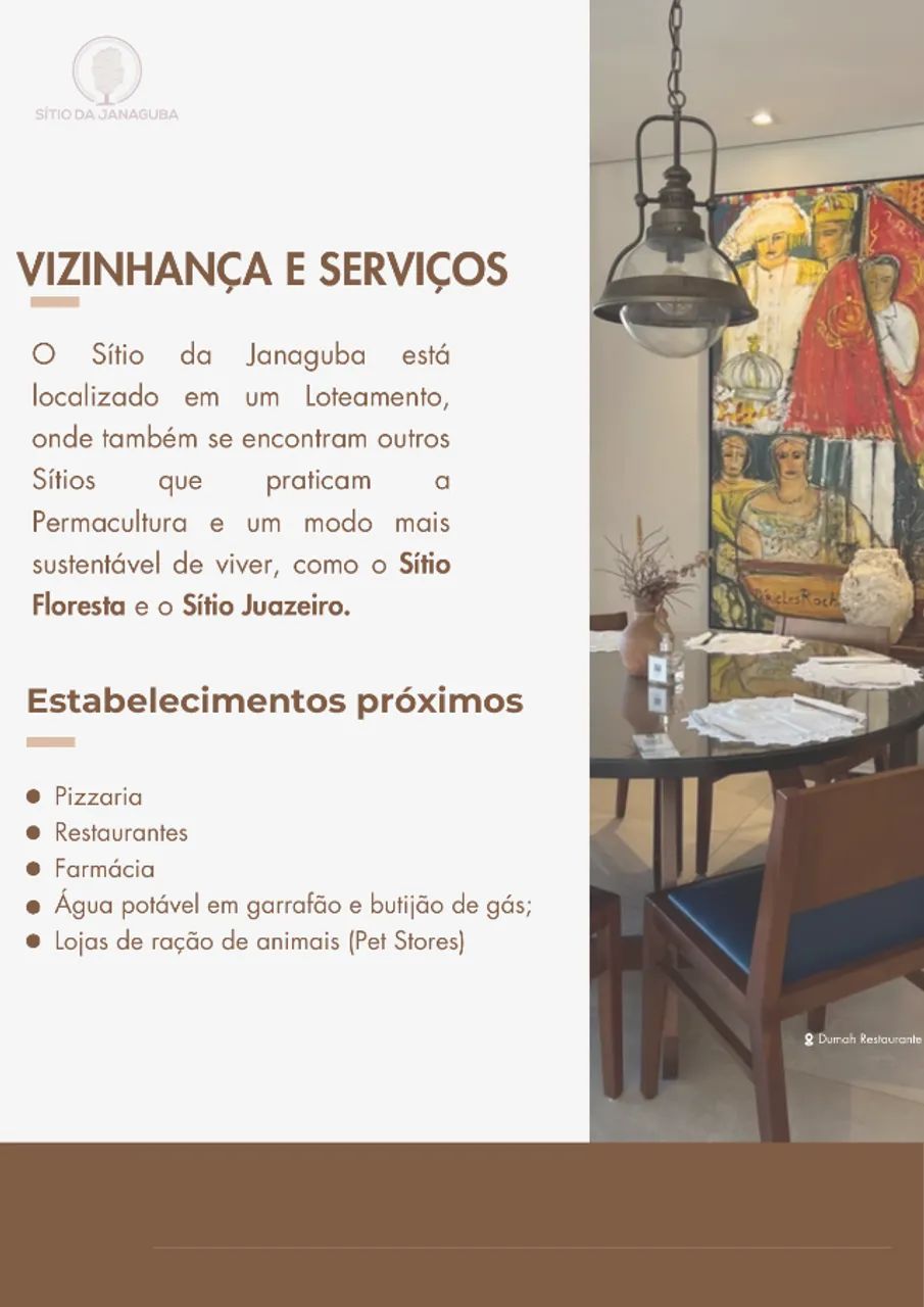 Sítio Ecológico com 3.500m2 - Foto 5