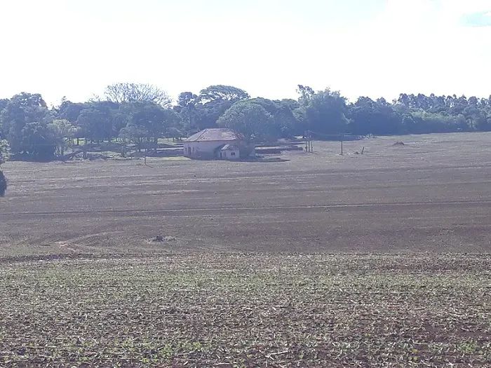 Área Rural 53 Alqueires - SOJA - Astorga - Paraná - Foto 3
