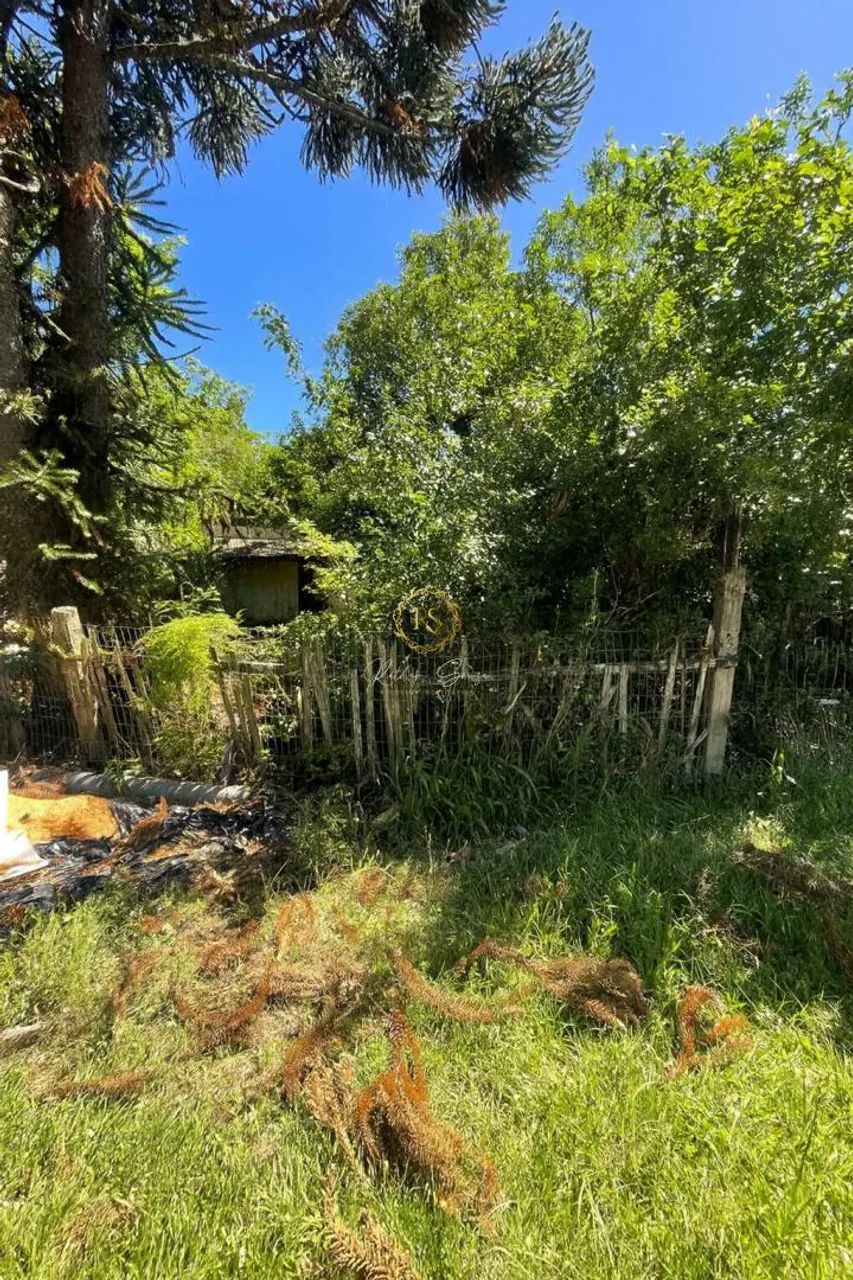 Terreno à Venda no bairro Berto Círio em Nova Santa Rita - Oportunidade única! REF: AR0001 - Foto 3