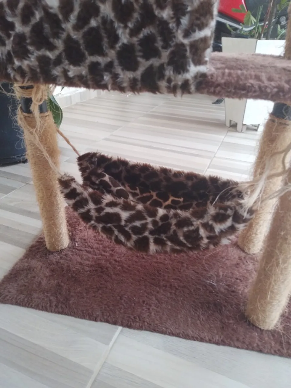 Cama para gato