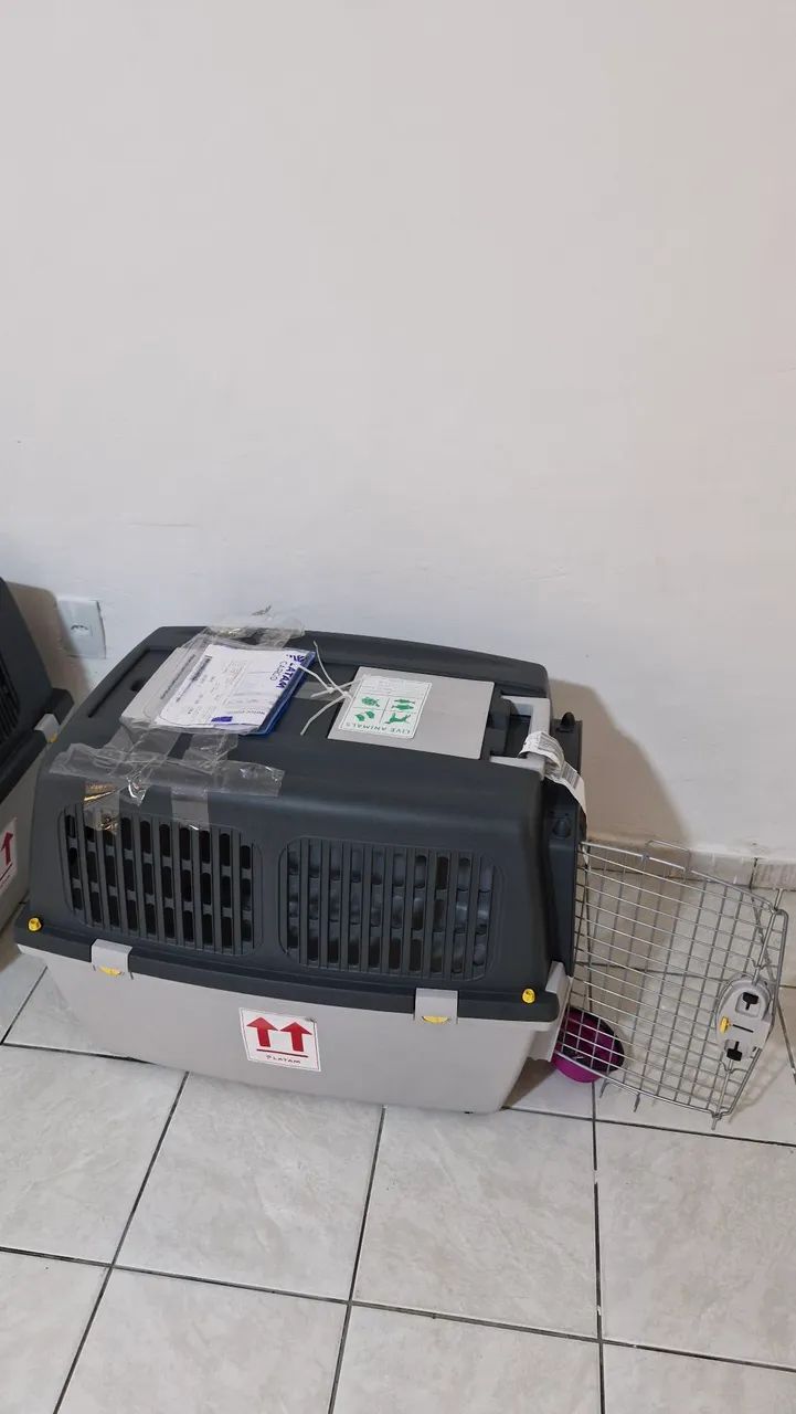 Caixa de transporte Aéreo pet número 6°
