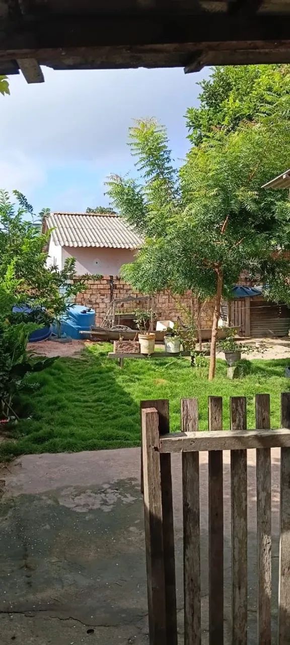 Vendo casa na área verde - Foto 4