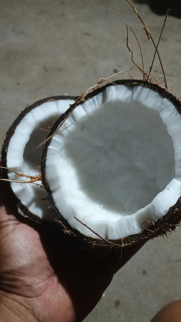 Coco seco de Paraipaba 