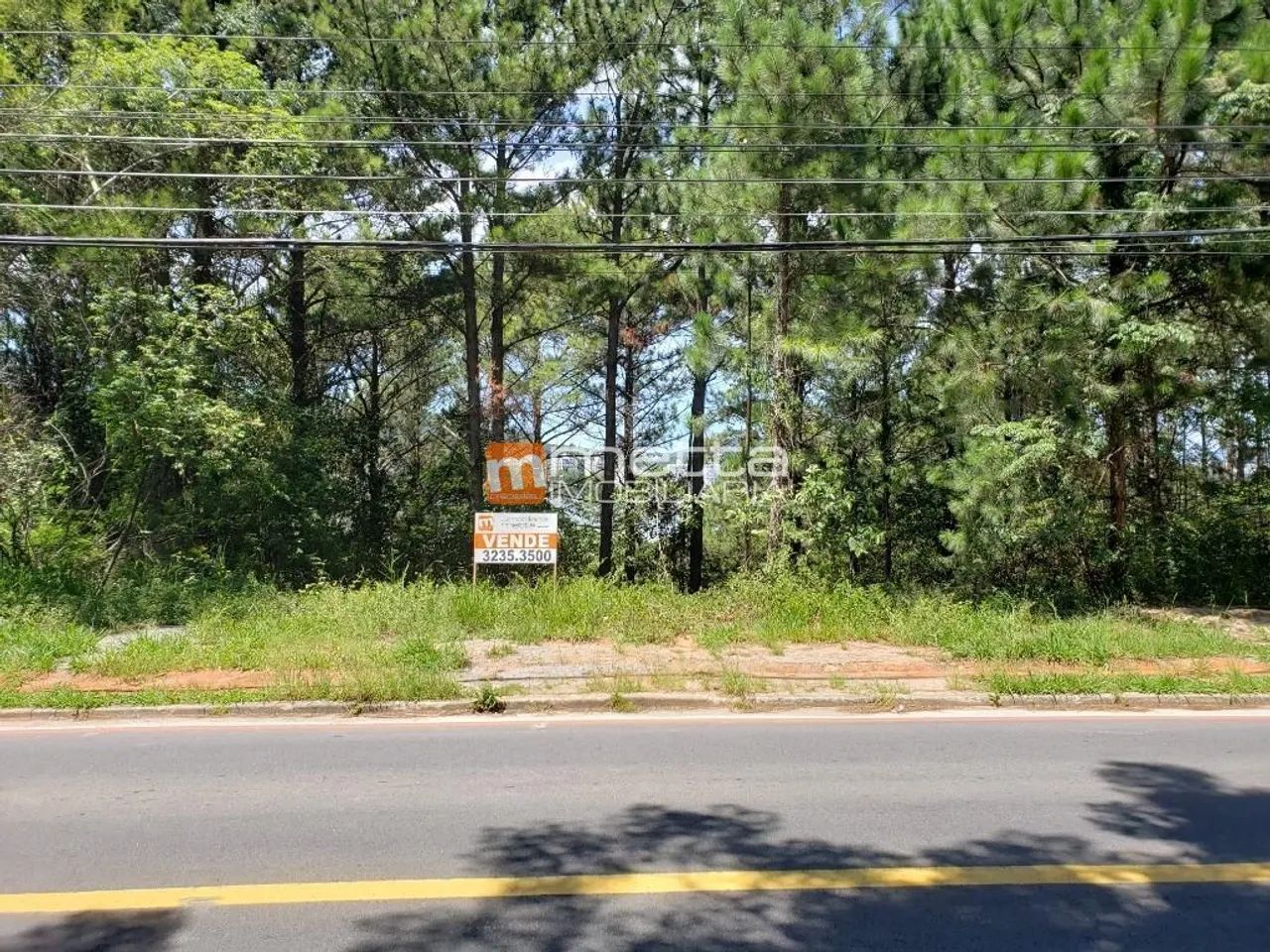 Terreno espetacular à venda, 6000 m² no Cacupé - Florianópolis/SC - Foto 4