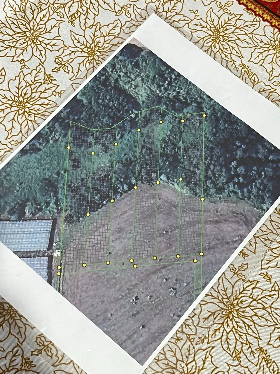 Foto - São Sebastião da Amoreira - 