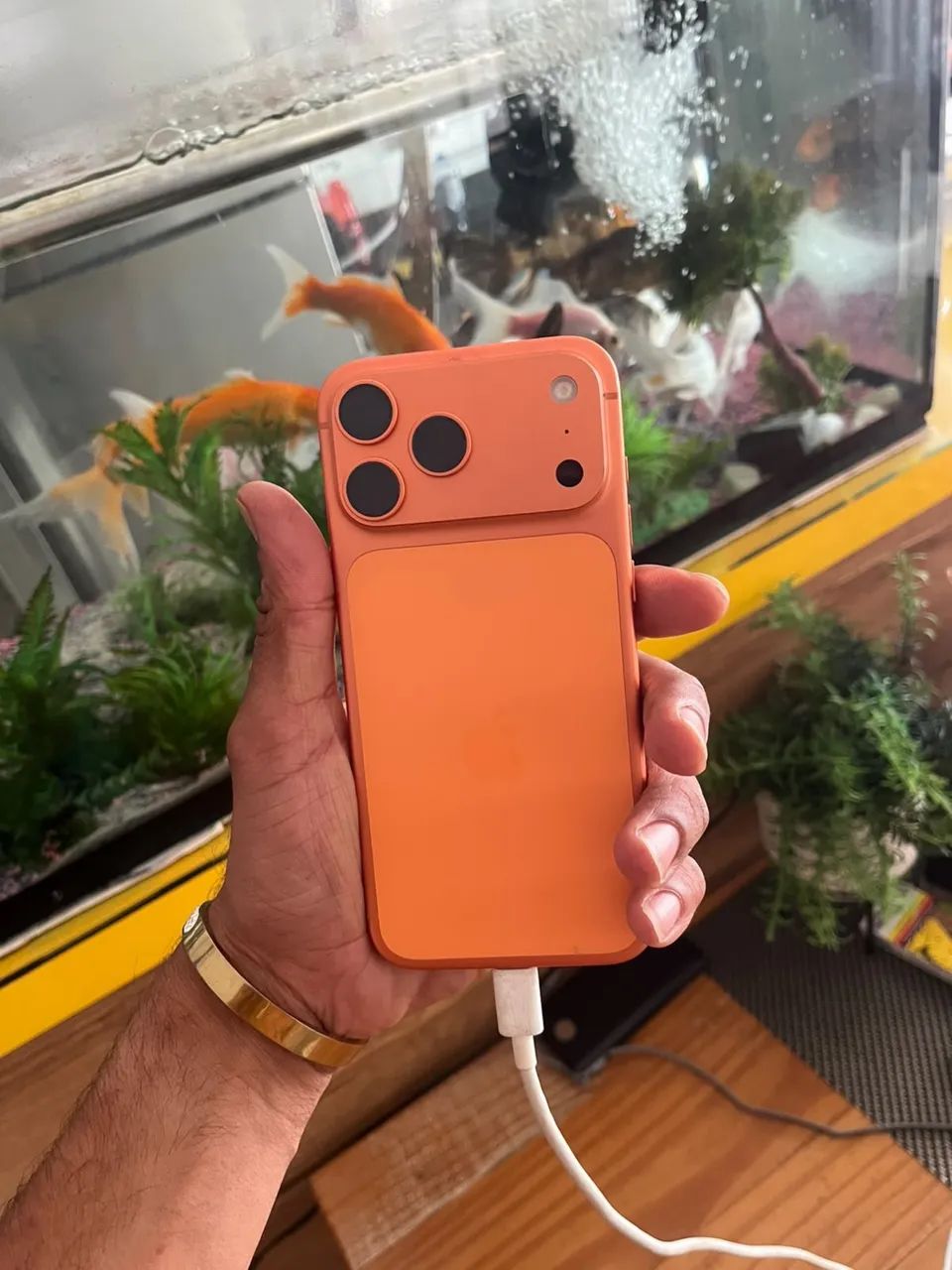 iPhone 17 Pro Max 1 TB