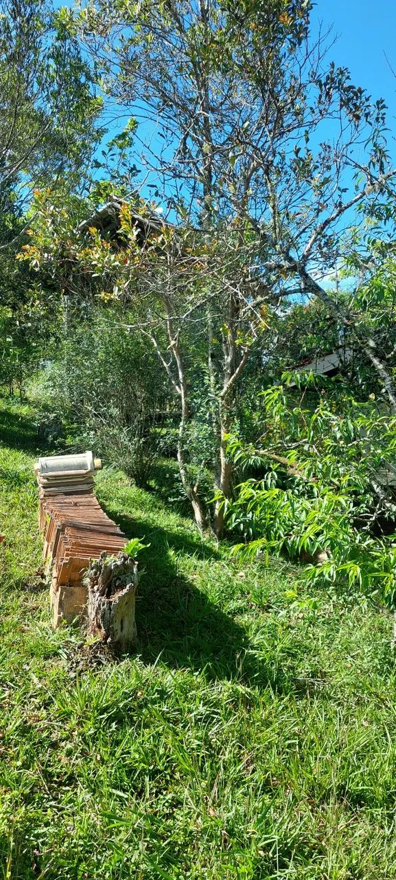 Terreno em rancho queimado  - Foto 11