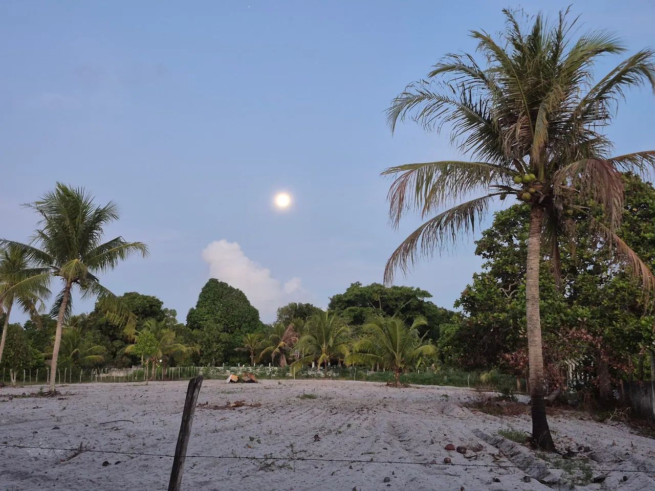 Granja em Alhandra - Foto 4