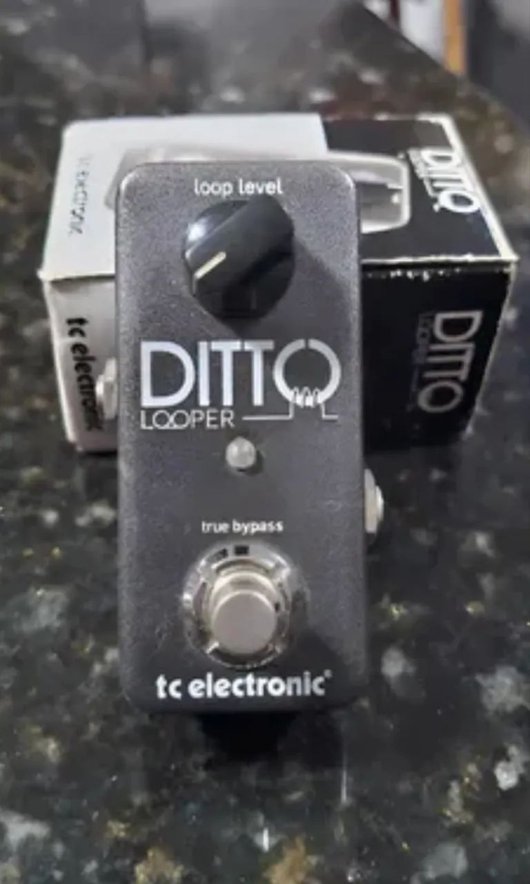 ditto looper