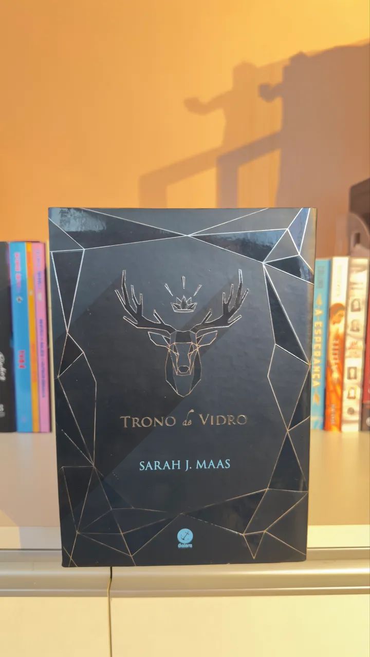 Box Trono de Vidro - Foto 4