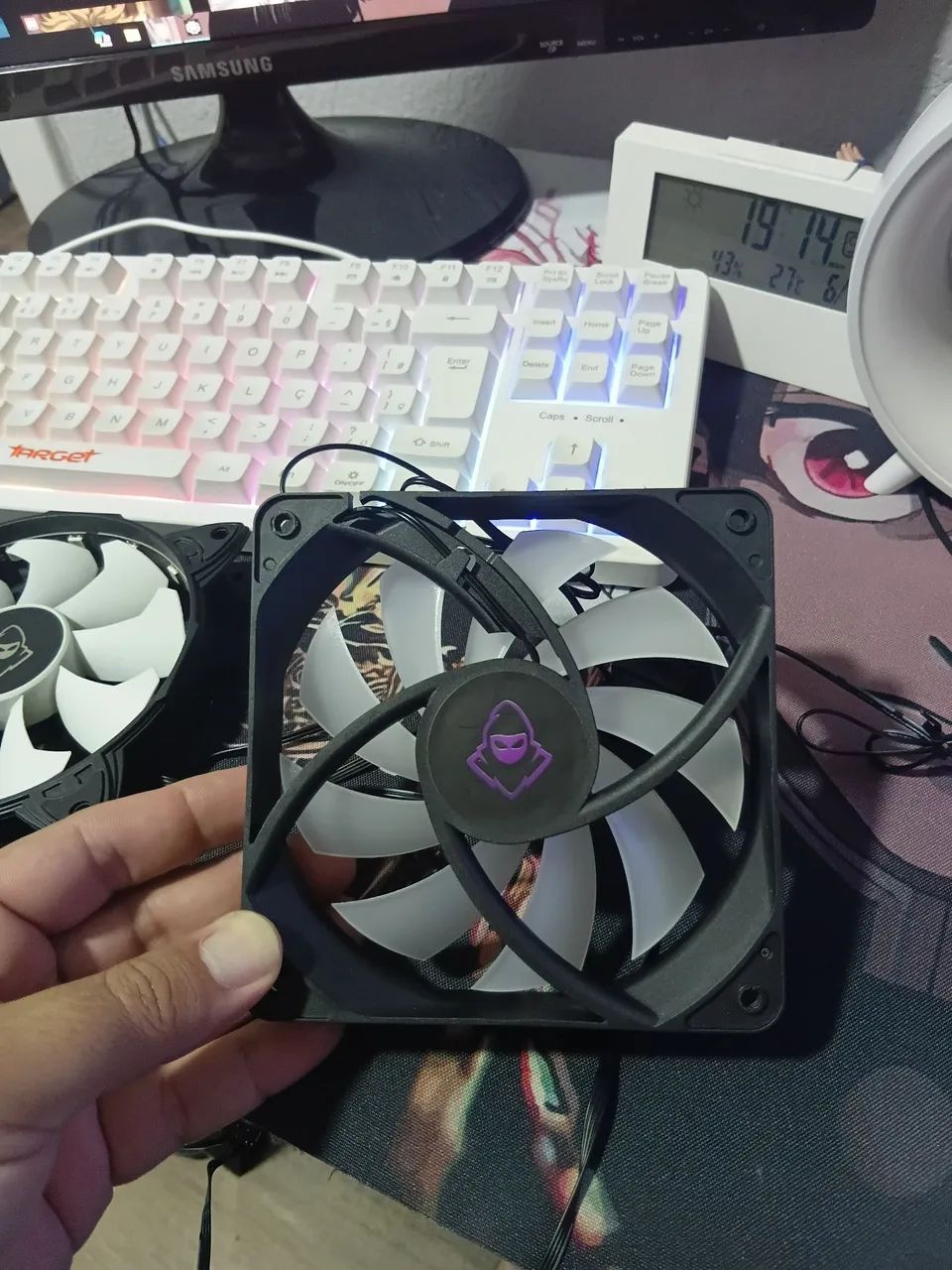 Fans mancer  - Foto 2
