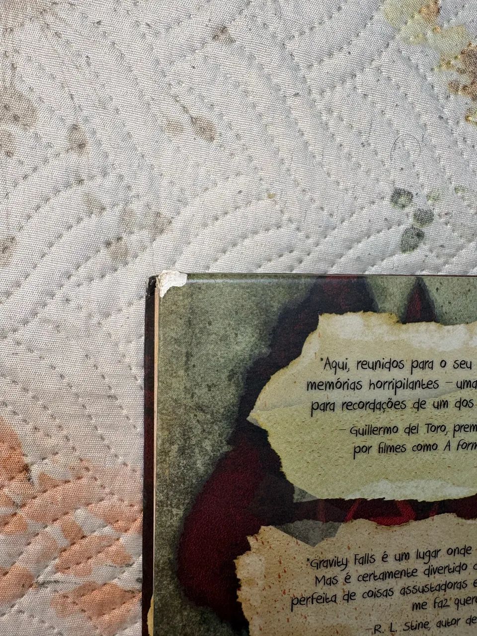 Livro: Gravity falls o diário perdido - Foto 5