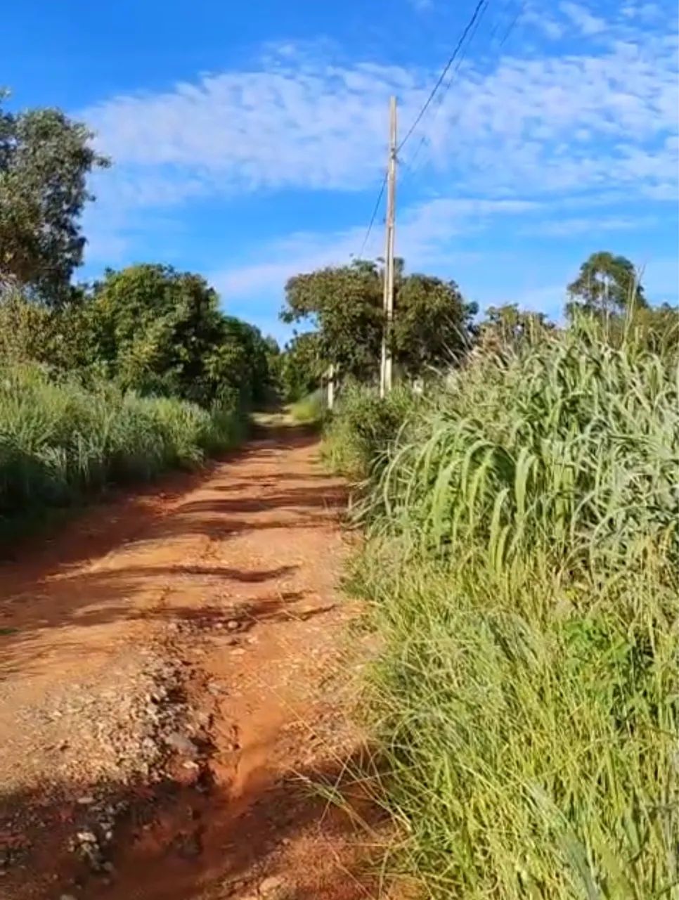 Foto - Caetanópolis - 
