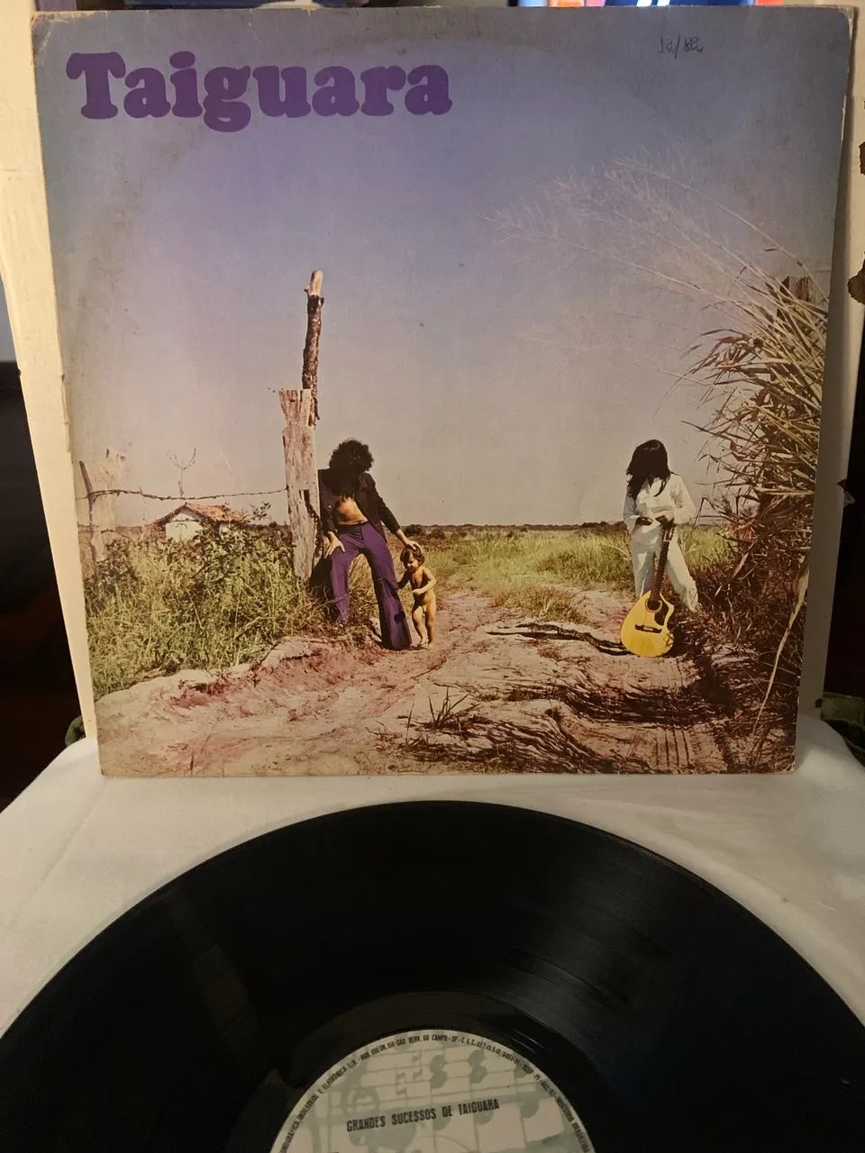 vinil Grandes sucessos de Taiguara raro