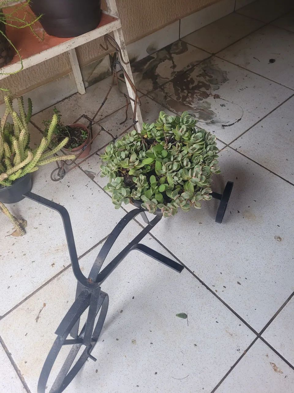 Suporte para vasos  - Foto 2