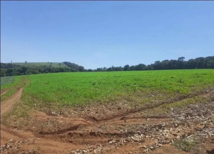 terreno - Caminho das águas - Tuiuti - Foto 4