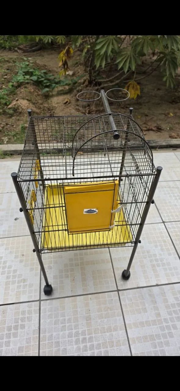 Gaiola aves 