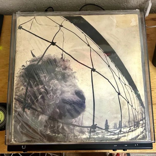 Vinil Pearl Jam - Vs. Lp Nacional