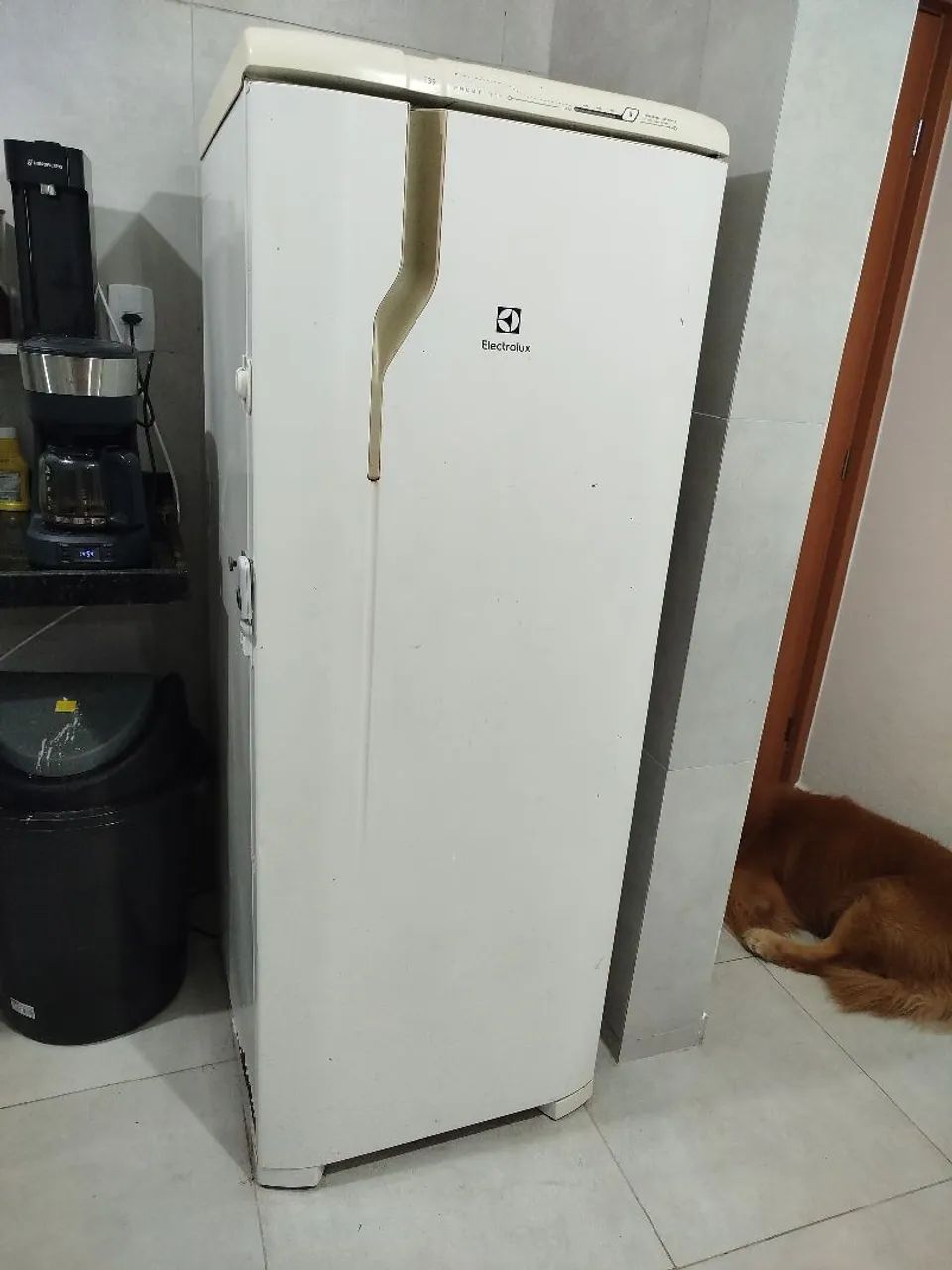 Geladeira Eletrolux com defeito 