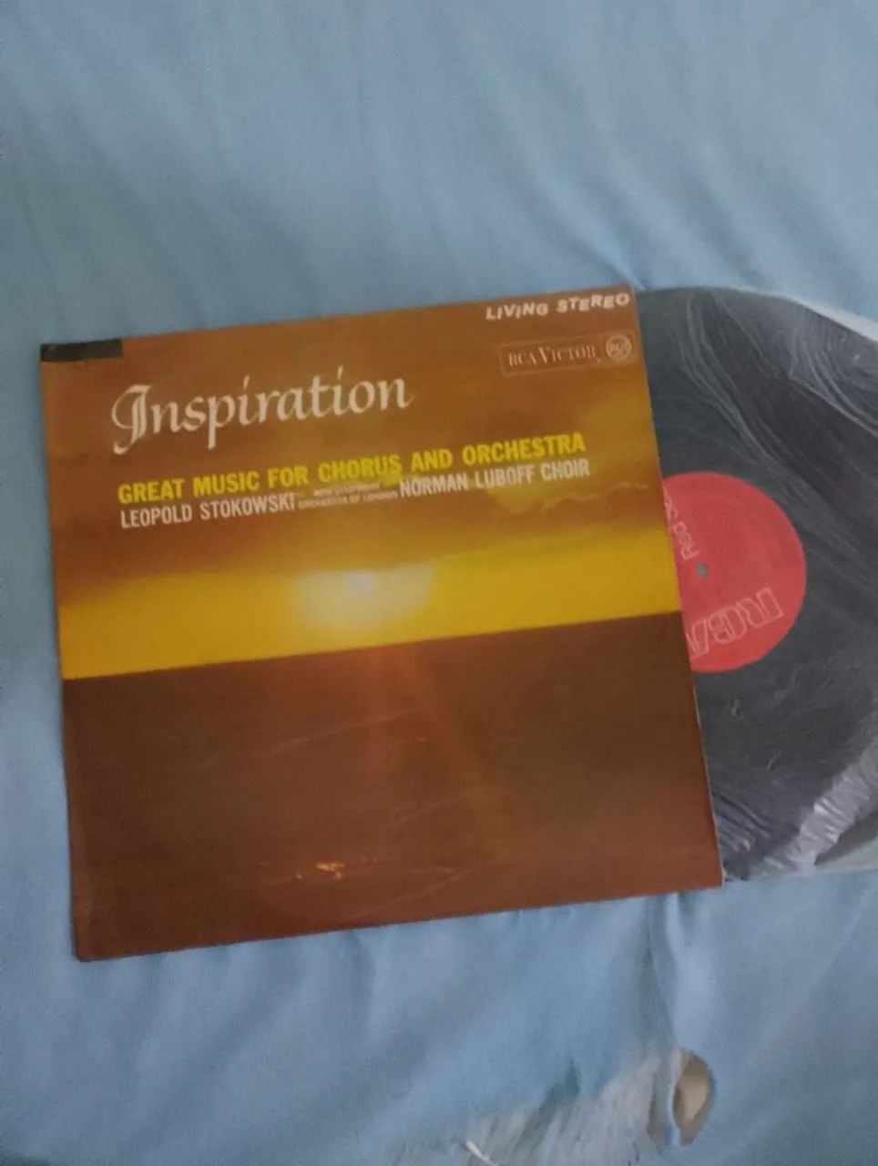 Vinil inspiration 