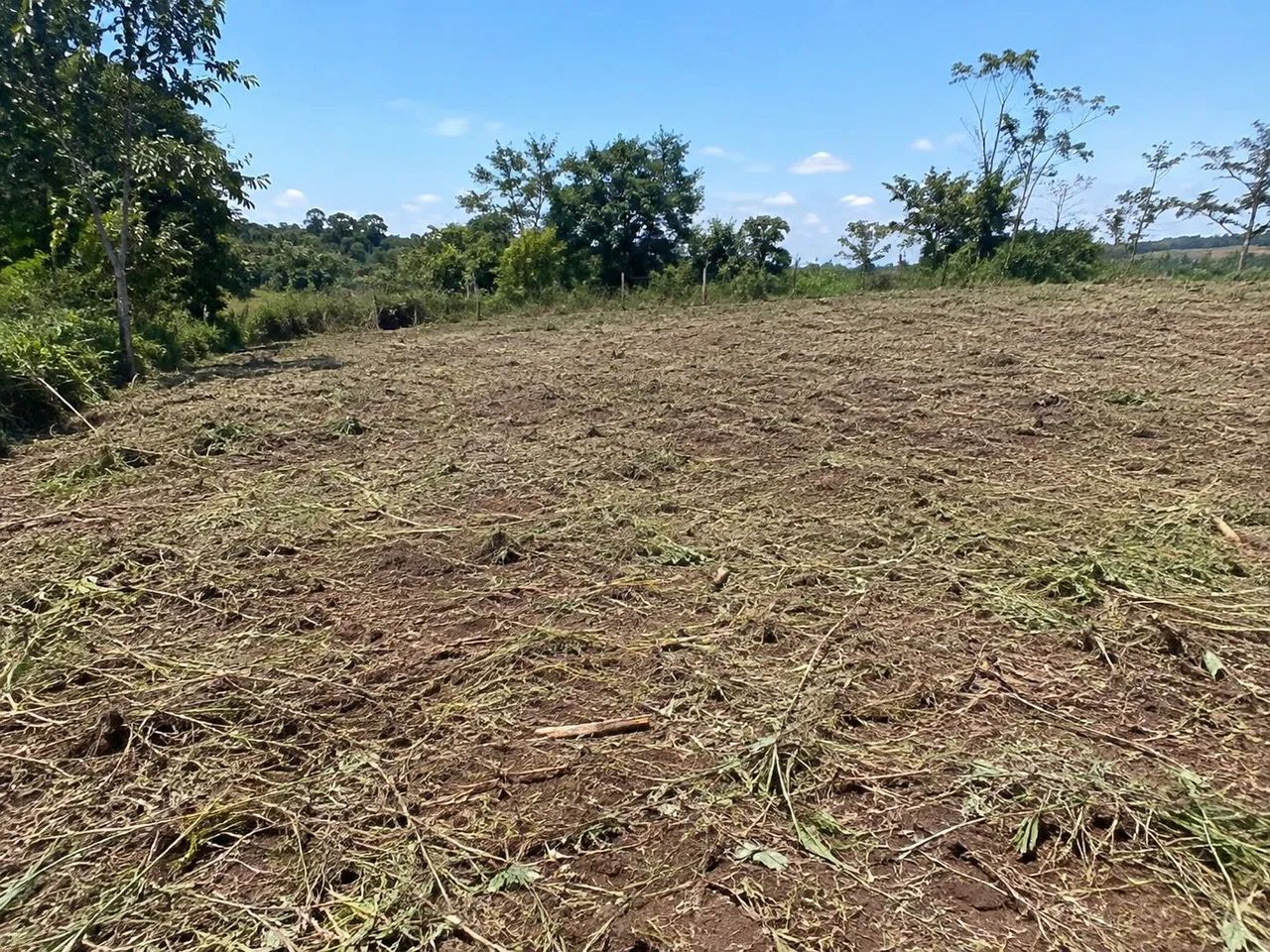 Faço serviço de limpeza de lotes.