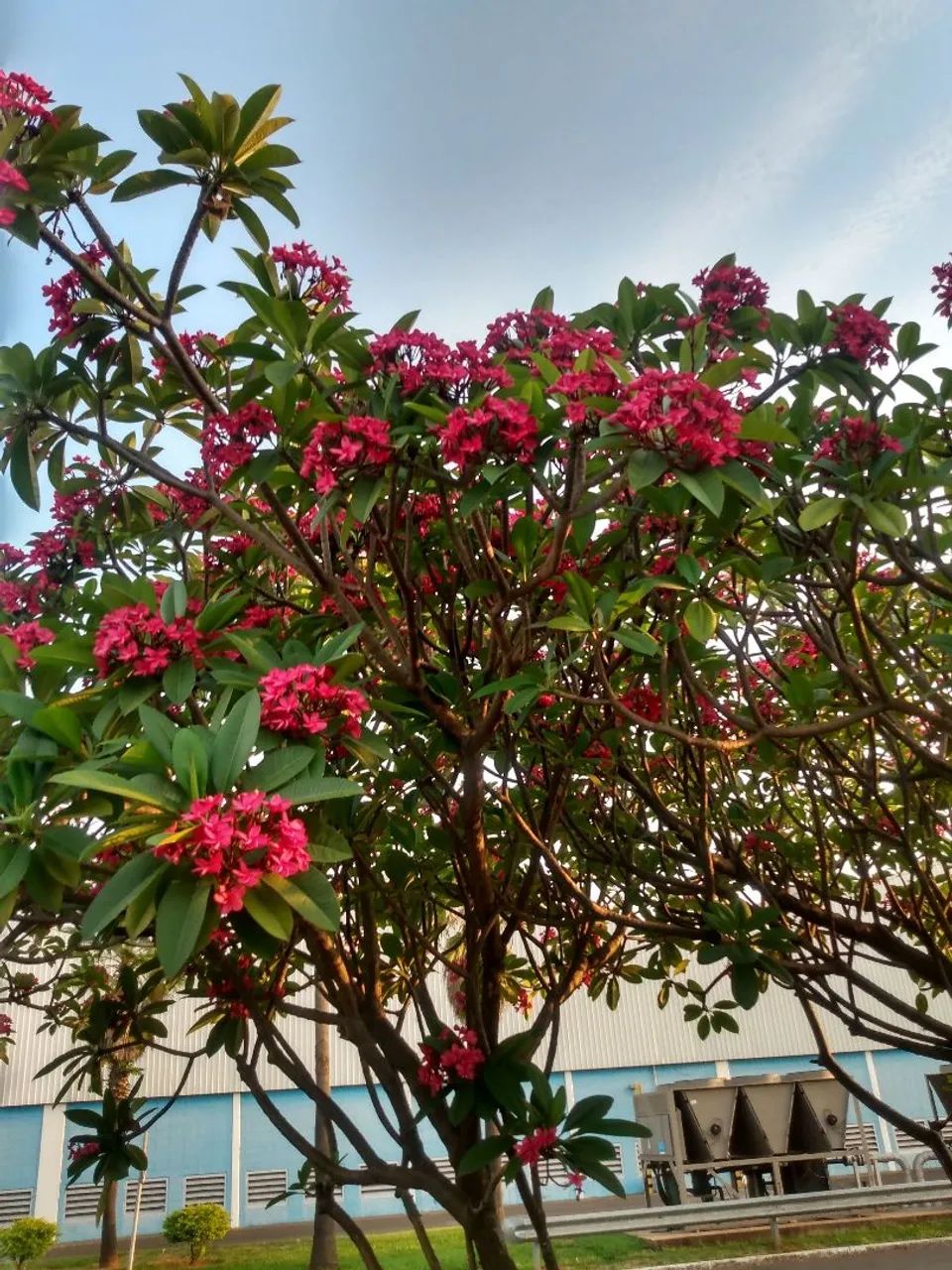 Foto - Sumaré - Jardim Bela Vista