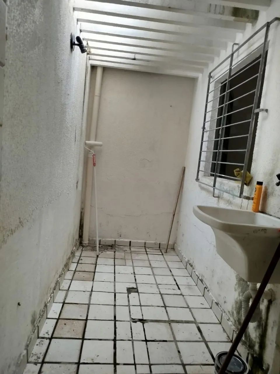 Foto - Paulista - Janga