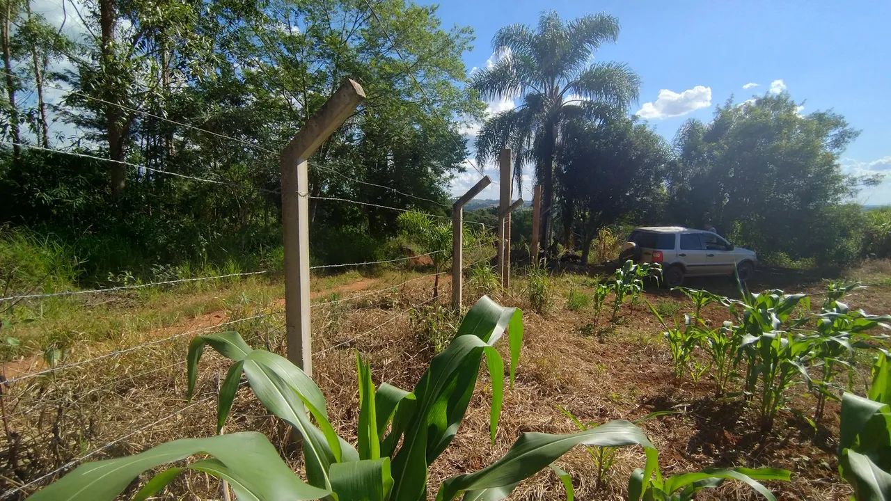 Terreno ideal para chácara de lazer  - Foto 5