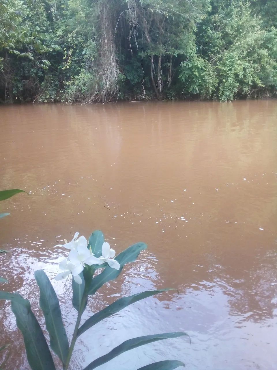 Foto - Juiz de Fora - Teixeiras