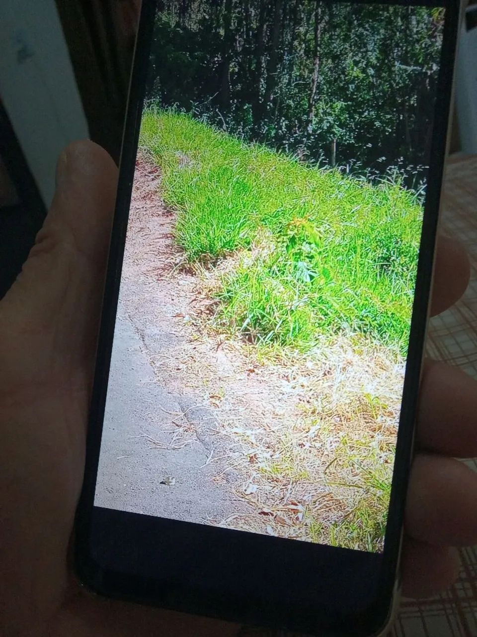 Vende se esse lote  - Foto 3