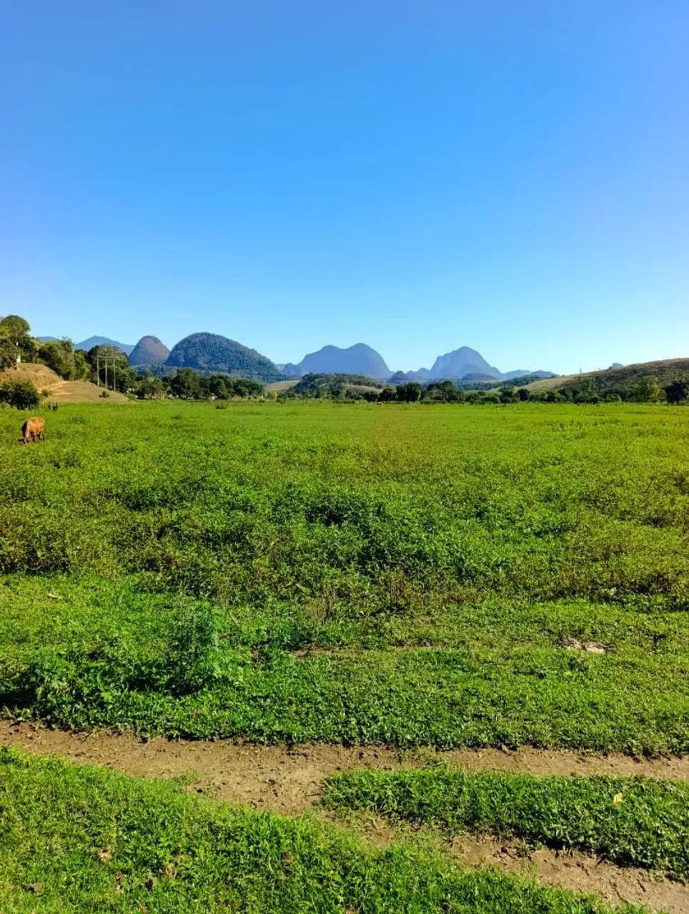 Propriedade cachoeiras de itapemerim  - Foto 5