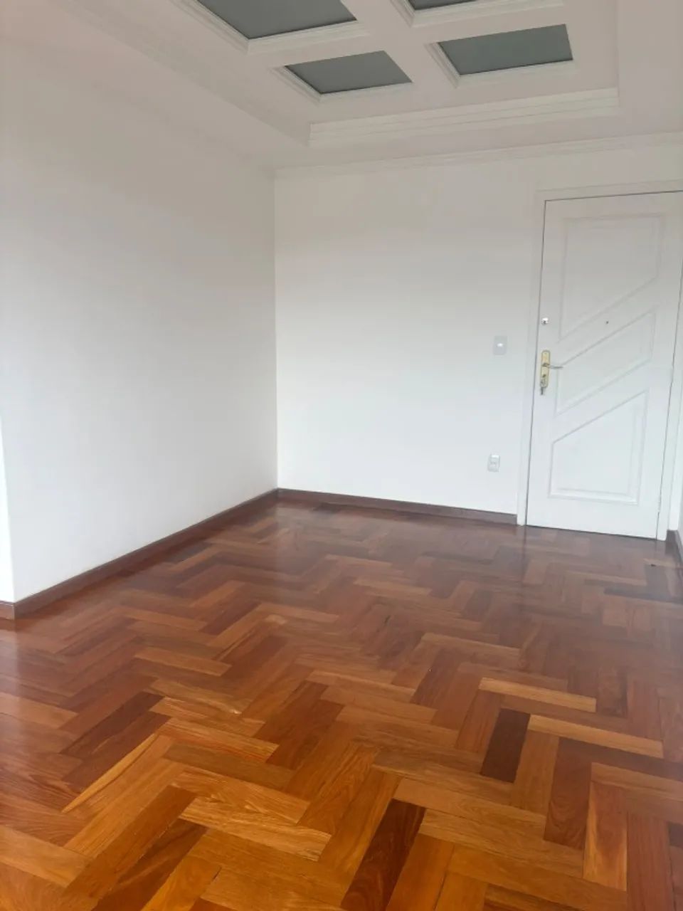 APARTAMENTO NA VILA SANTA CECÍLIA - Foto 3